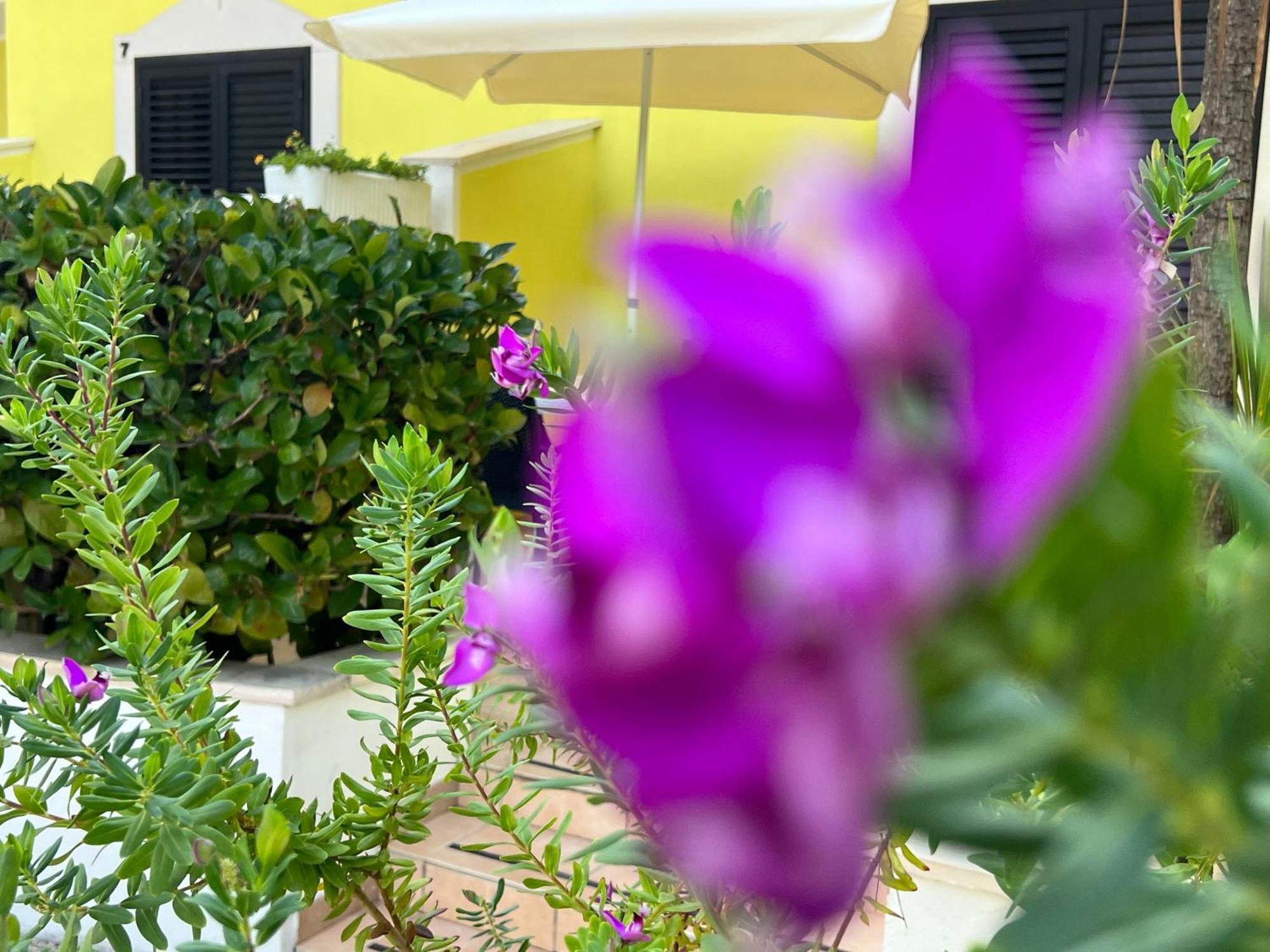 Argeste Club Vacanze เวียสเต ภายนอก รูปภาพ